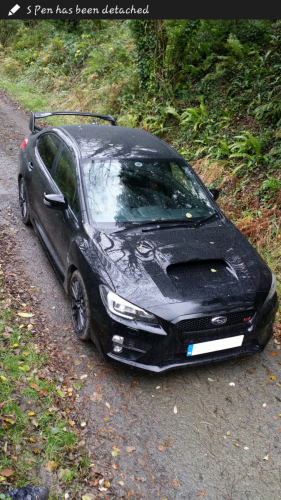 sparky sti