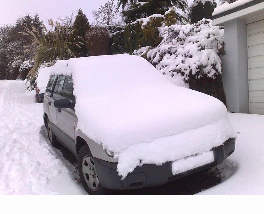 SF Forester