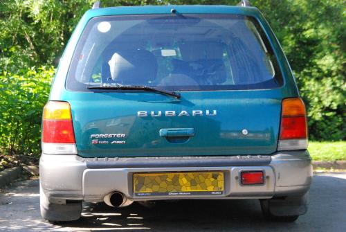 forester lower.jpg