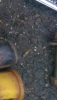 post-3548-145193524667_thumb.png