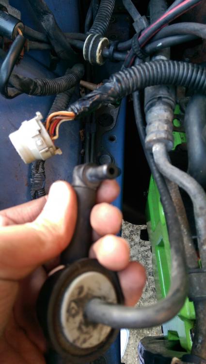 IMAG0082.thumb.jpg.6eaa9c6bb183c95087ebc