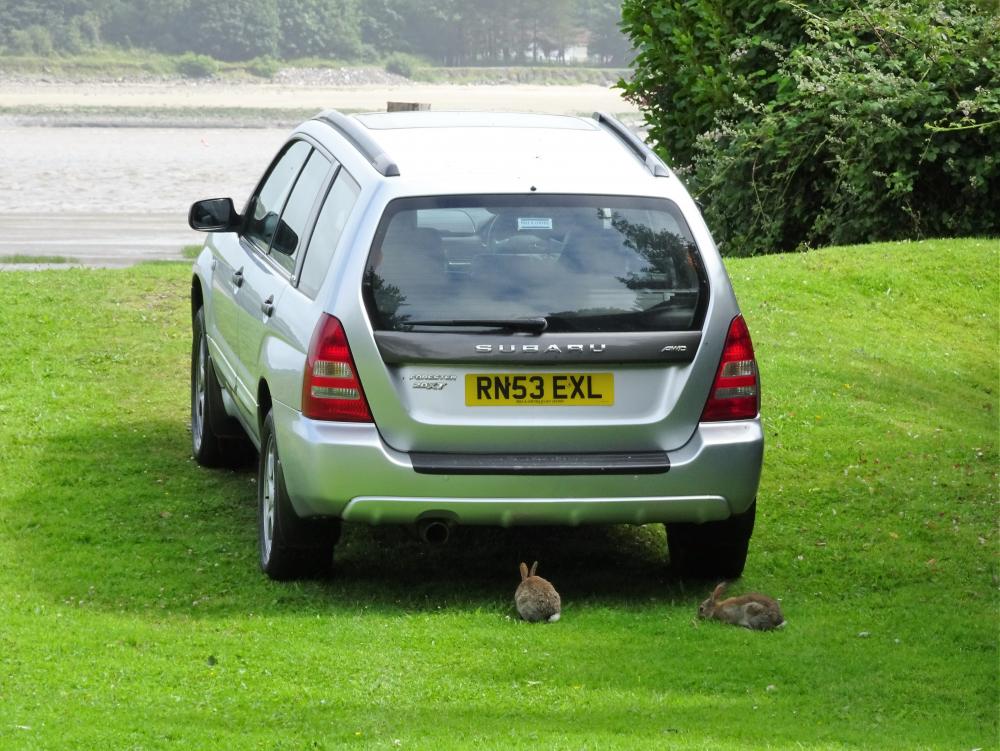 fozzy3.JPG