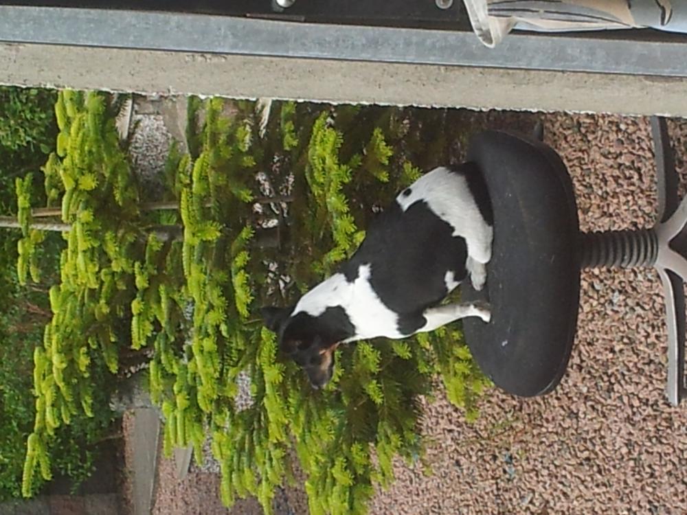20160827_101855.jpg