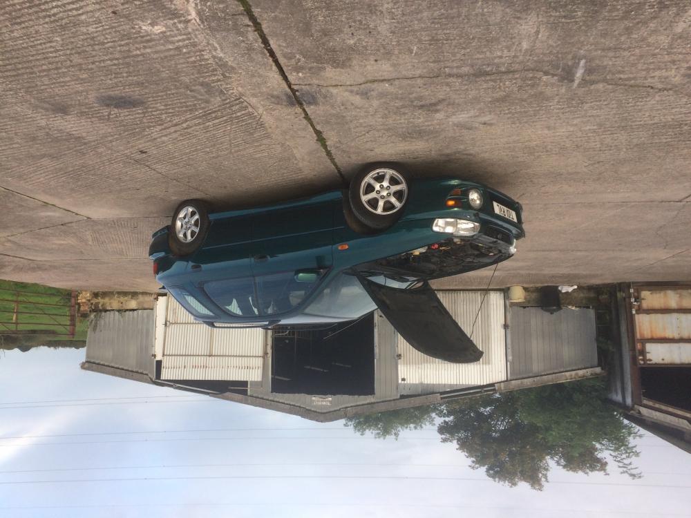 image.jpeg
