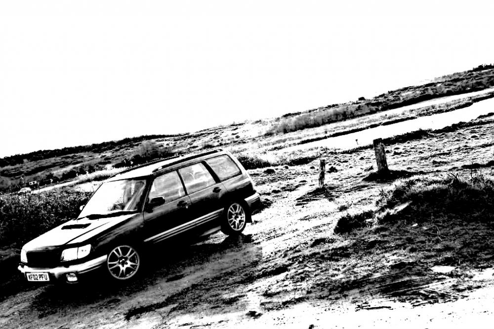 PicsArt_03-04-09.06.45.jpg