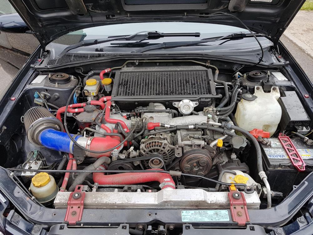 20180801_173442.jpg