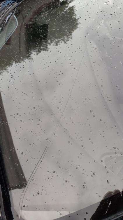 20180812_120754.jpg
