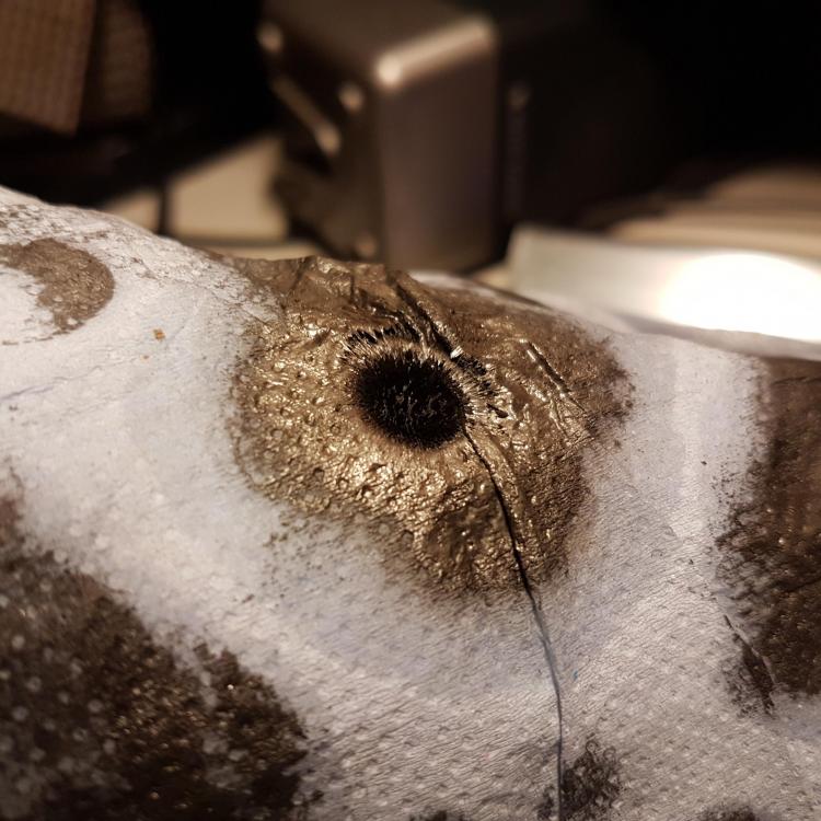 20190218_211036.jpg