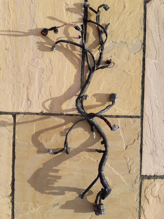 20190220_144742.jpg