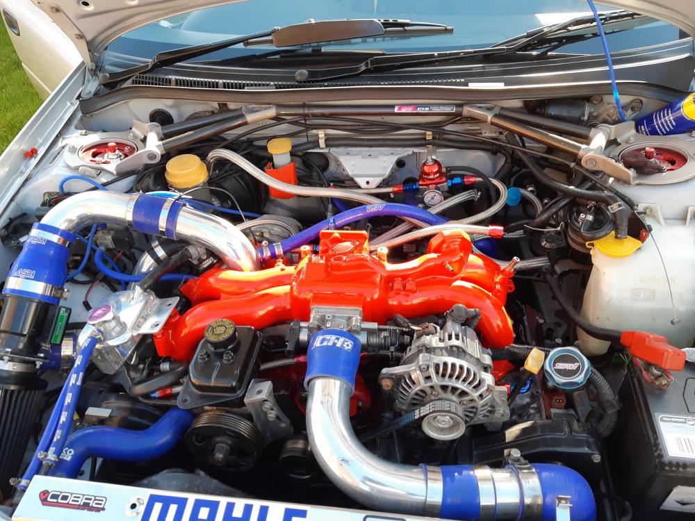 20190324_151056.jpg