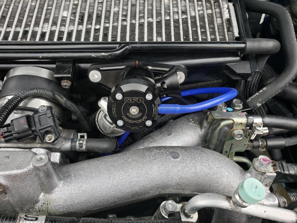 20190424_182740.jpg