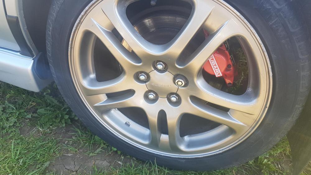 20190420_110425.jpg
