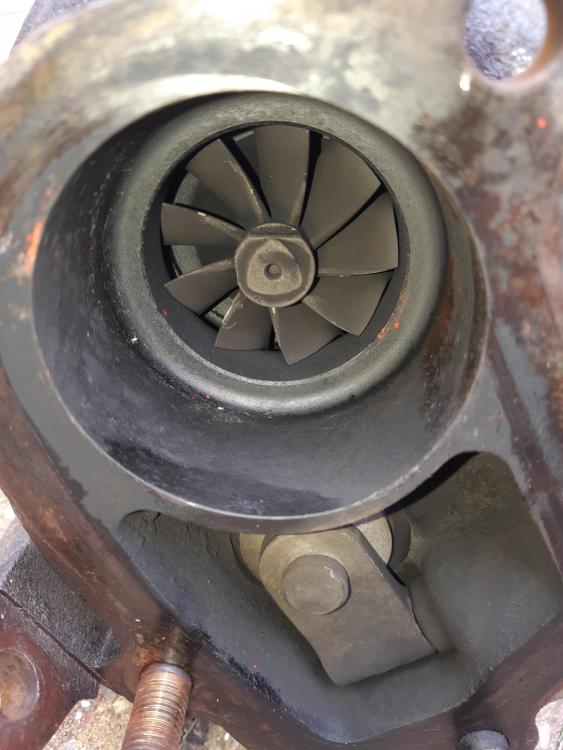 20190531_132104.jpg