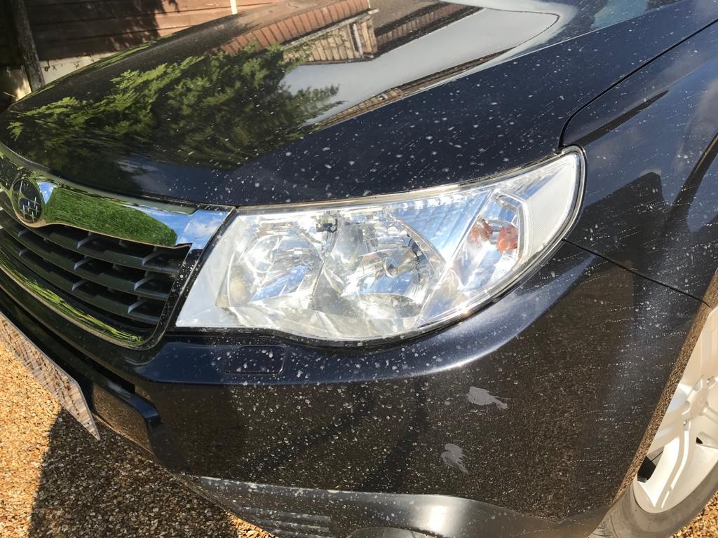 Subaru Forester 2010 - headlights (front and rear)