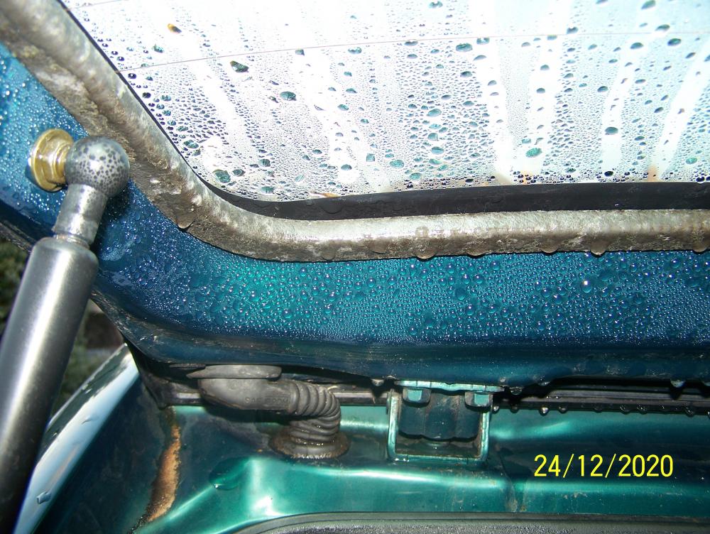 100_1013.JPG