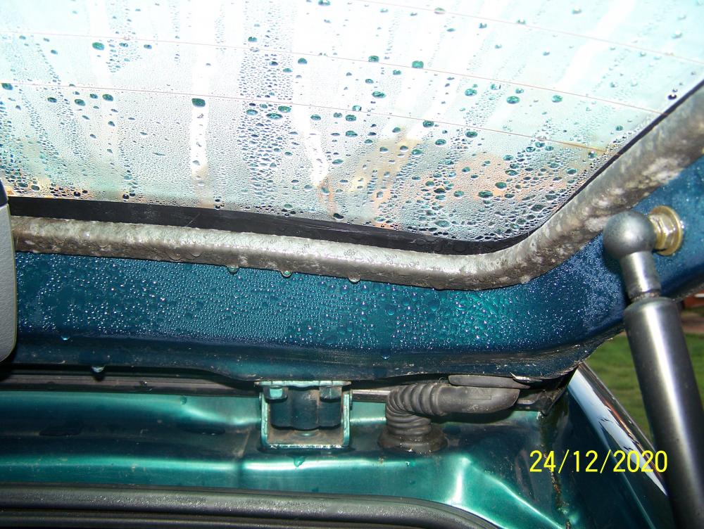 100_1014.JPG