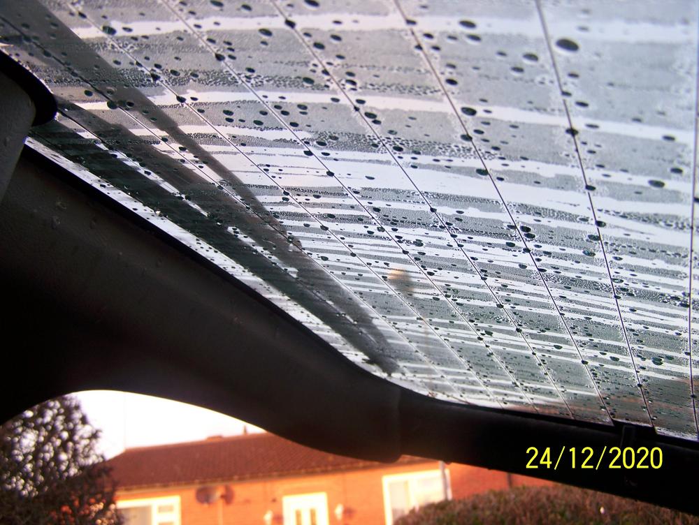 100_1016.JPG