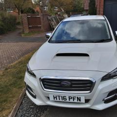 Pete - Levorg
