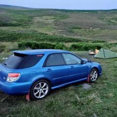 gibbo-wrx