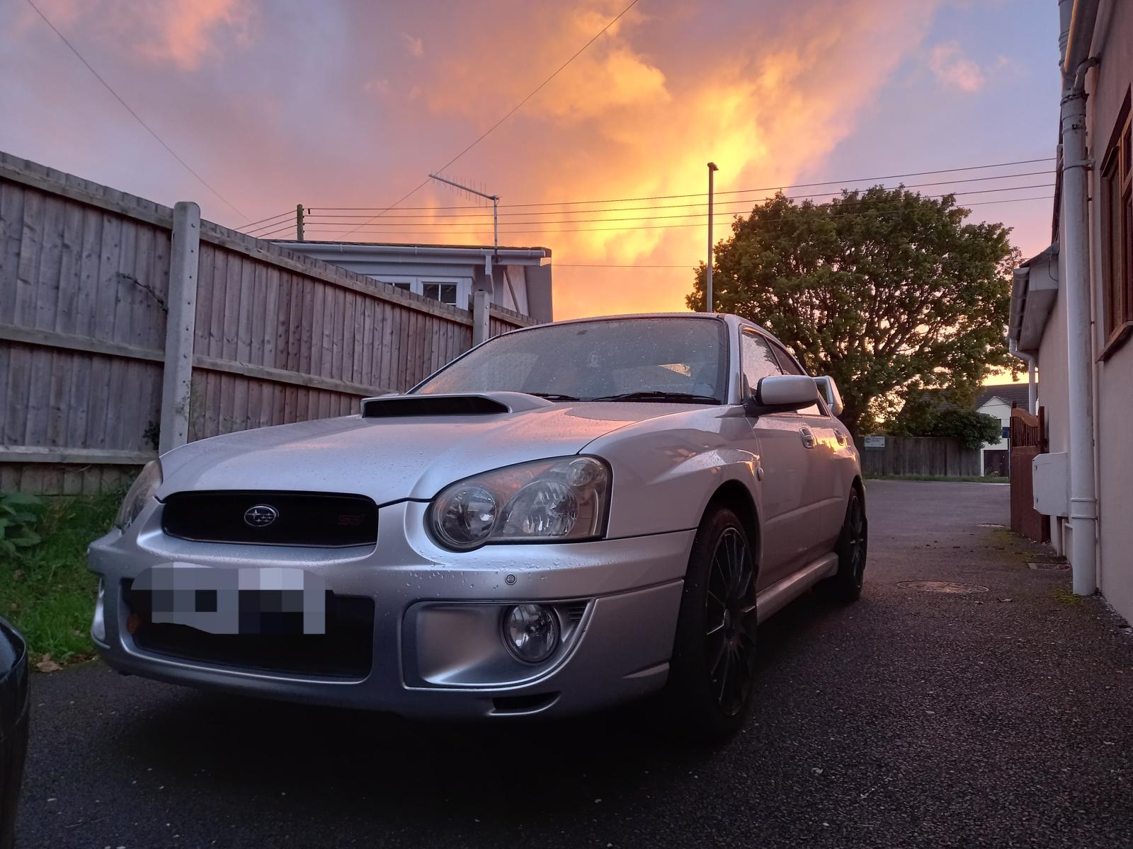 My Blobeye Scooby