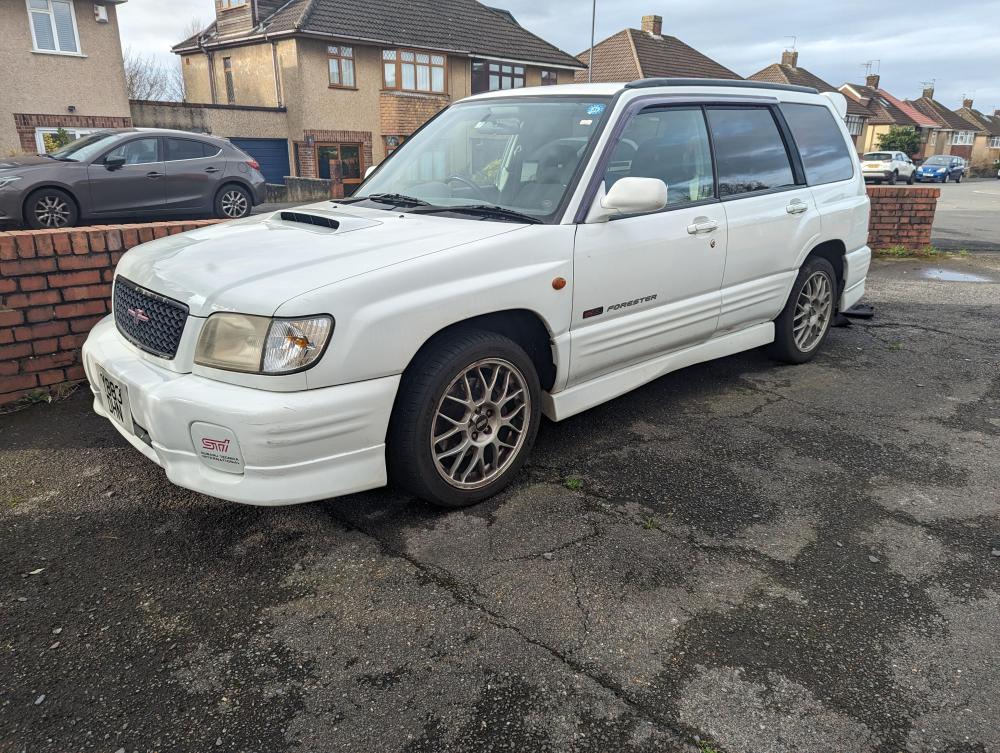 forester.jpg